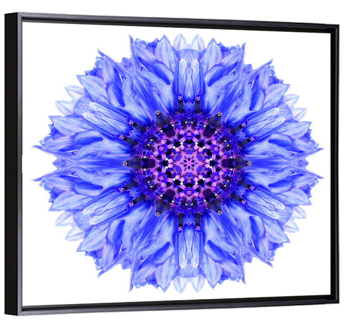 Cornflower Mandala with Dark Violet Center Wall Art as a framed canvas