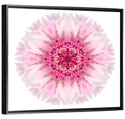 Pink Cornflower Wall Art