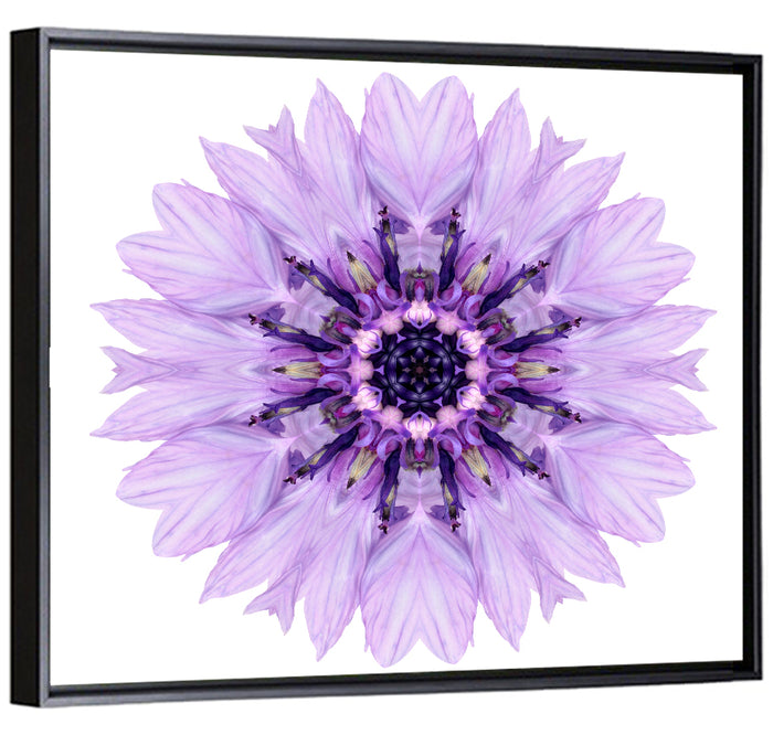 Lavender Cornflower Mandala Wall Art as a framed canvas