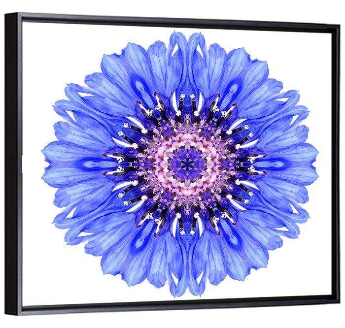 Blue Cornflower Mandala Pattern Wall Art as a framed canvas