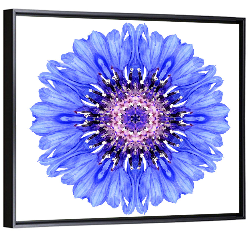 Blue Mandala Floral Pattern Wall Art