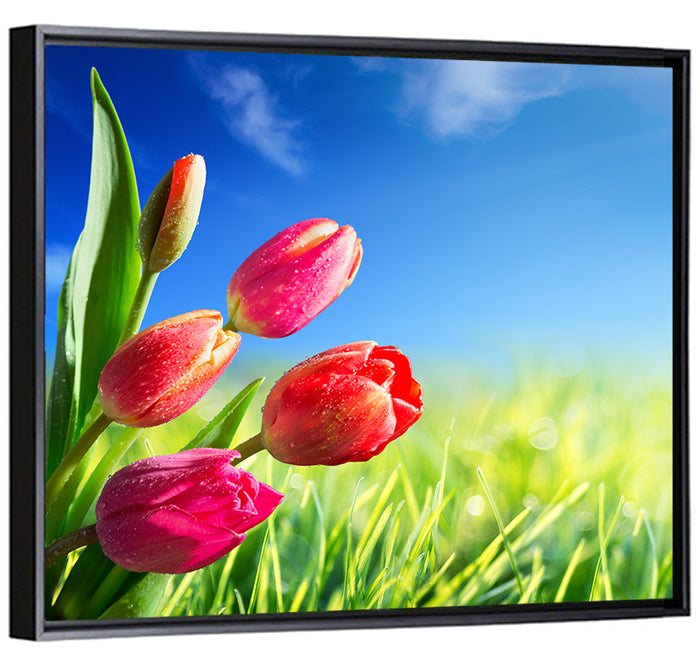 Dewy Red Tulips Under Blue Sky Wall Art as a framed canvas