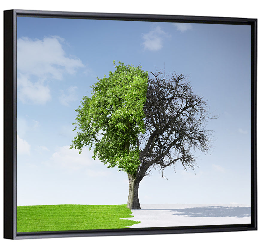 Split Seasons Tree Wall Art