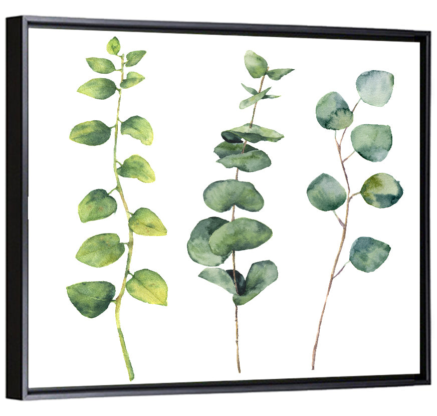 Watercolor Eucalyptus Stems Wall Art
