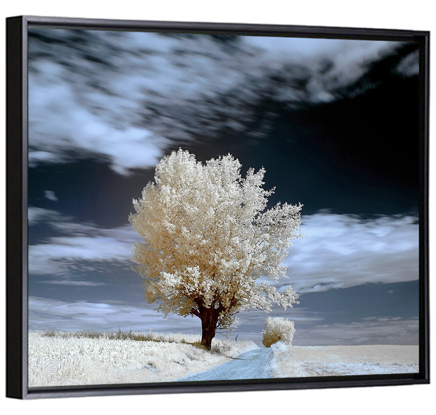 Infrared Winter Willow Tree Wall Art