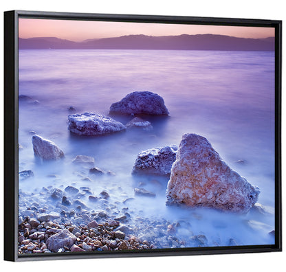 Salty Dead Sea Wall Art