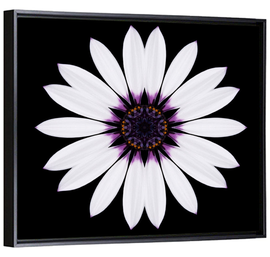 White Daisy Mandala on Black Wall Art