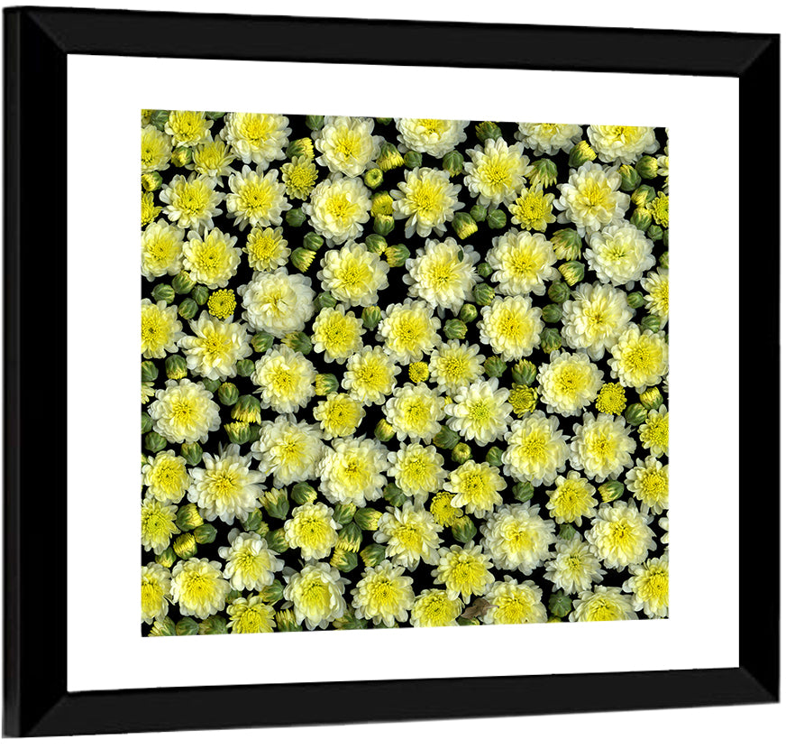 Yellow Chrysanthemum Bloom Pattern Wall Art