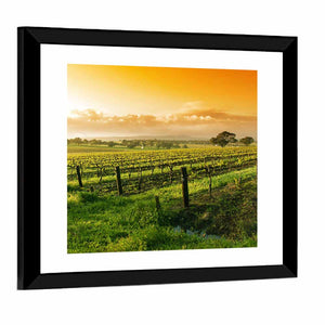 Barossa Valley Vineyard Wall Art