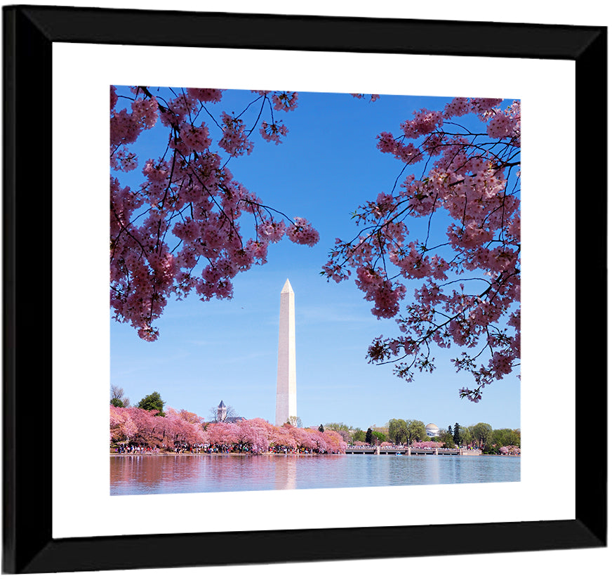 Washington Monument with Cherry Blossoms Wall Art
