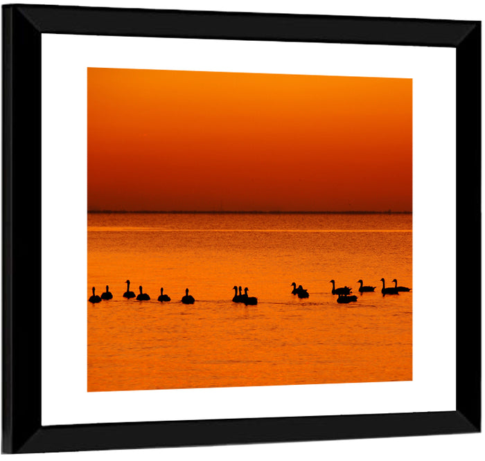 Geese Silhouettes at Orange Sunset Wall Art as a framed print