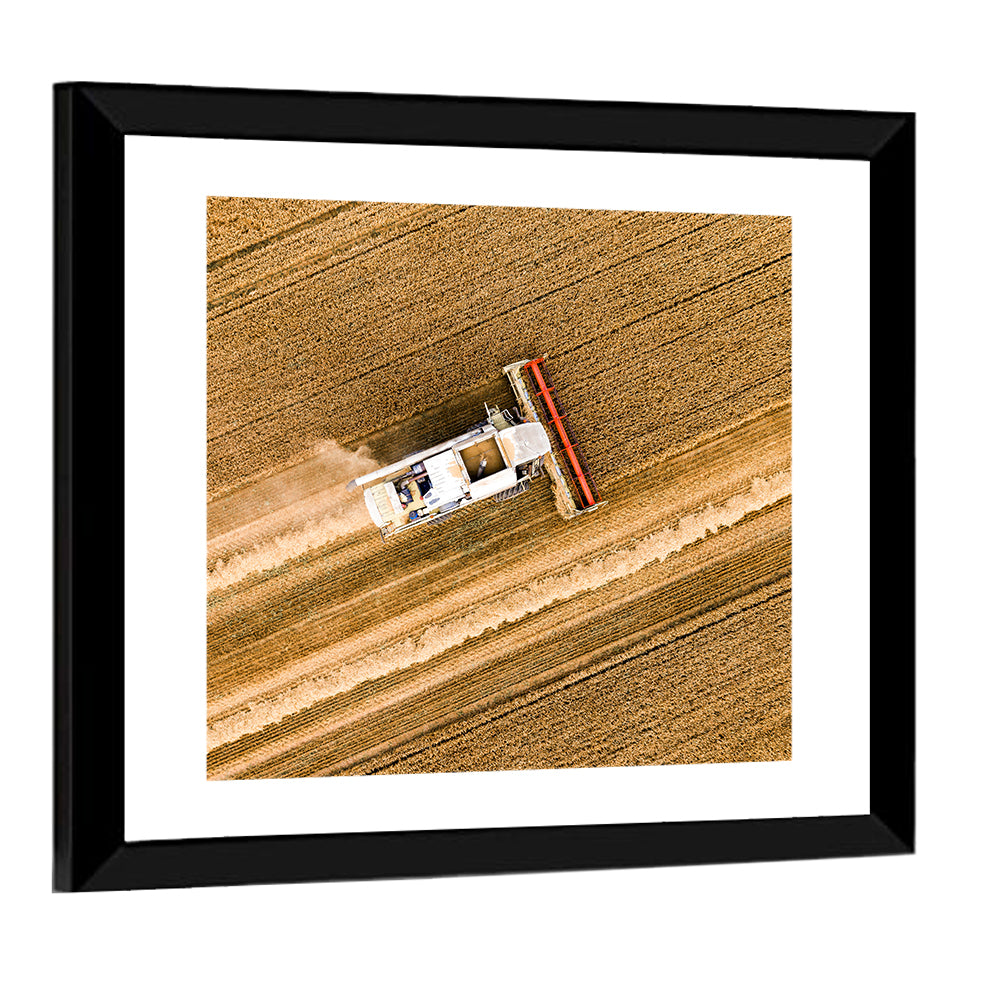 Aerial Combine Over Wheat Field Wall Art