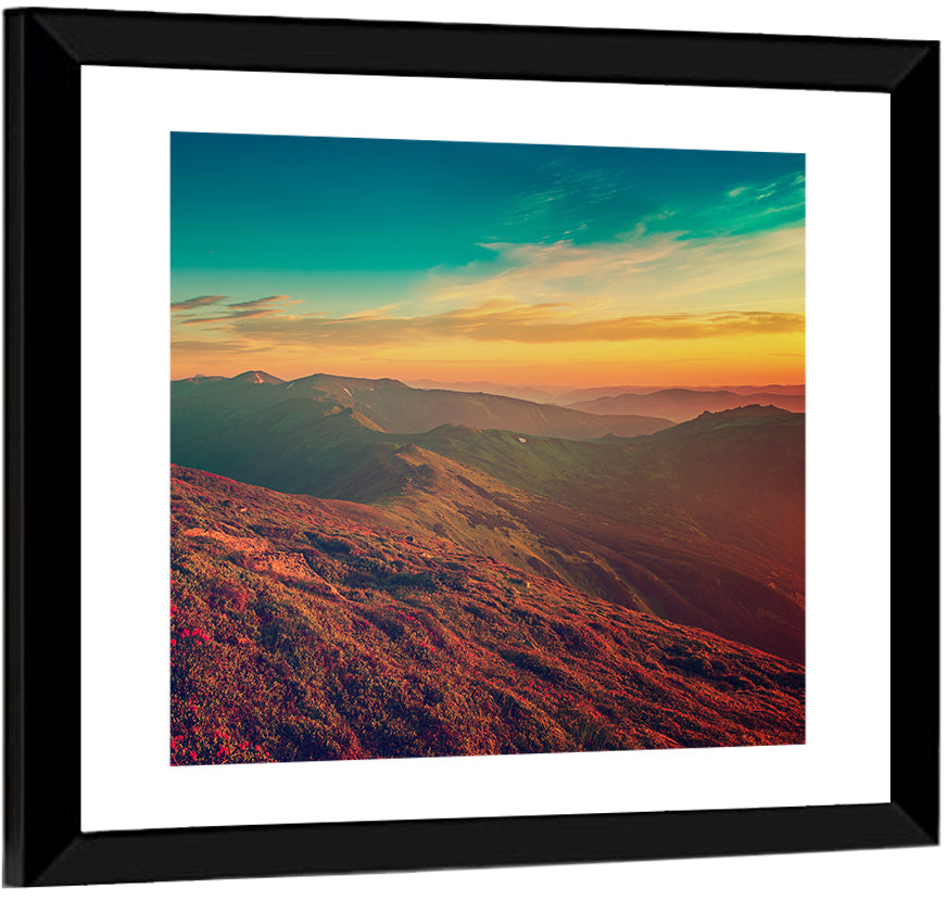 Alpine Rhododendrons at Golden Sunrise Wall Art
