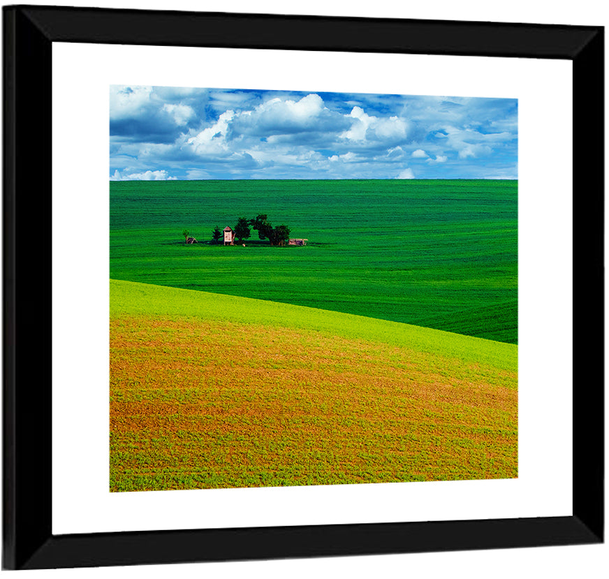 Golden Field and Green Hillside Wall Art