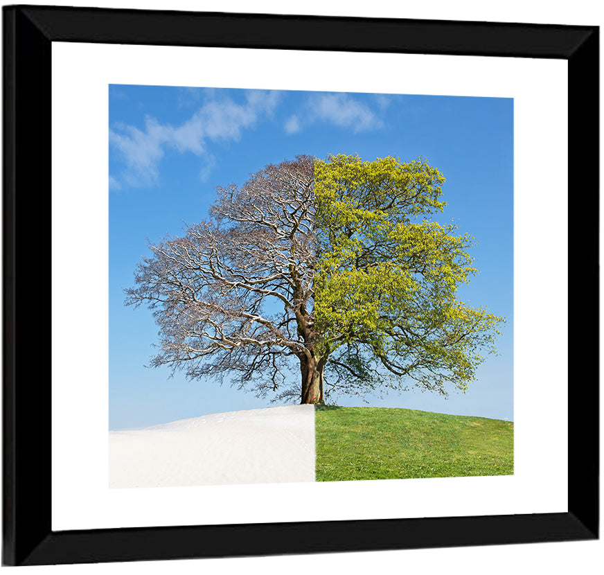 Split Season Tree Landscape Wall Art