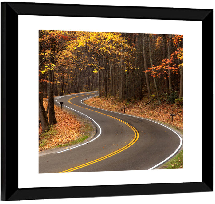 S-curve Road Through Autumn Forest Wall Art as a framed print