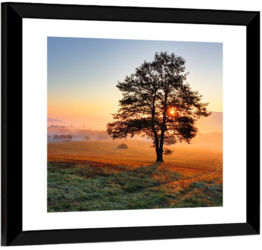 Misty Meadow Sunrise with Lone Tree Wall Art