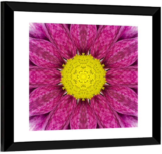 Concentric Floral Pattern Wall Art