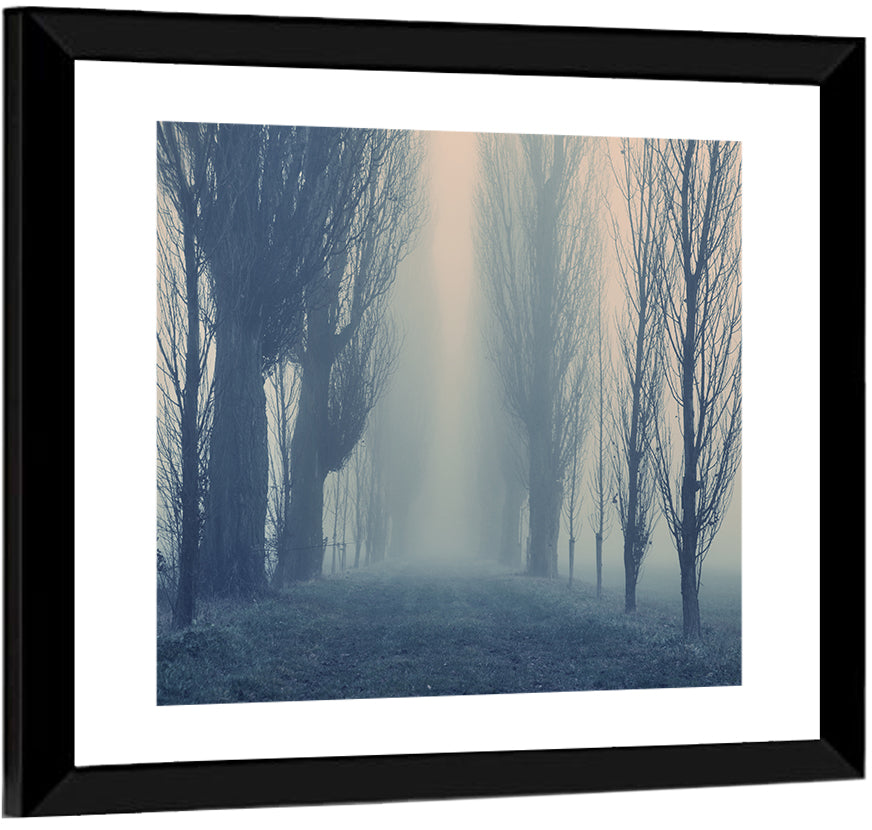 Misty Forest Pathway in Fog Wall Art