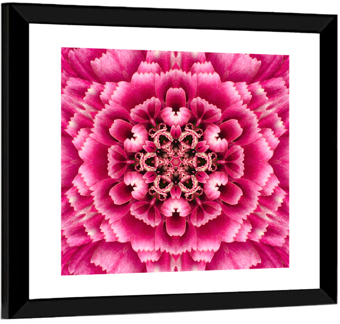Kaleidoscopic Pink Chrysanthemum Mandala Wall Art as a framed print