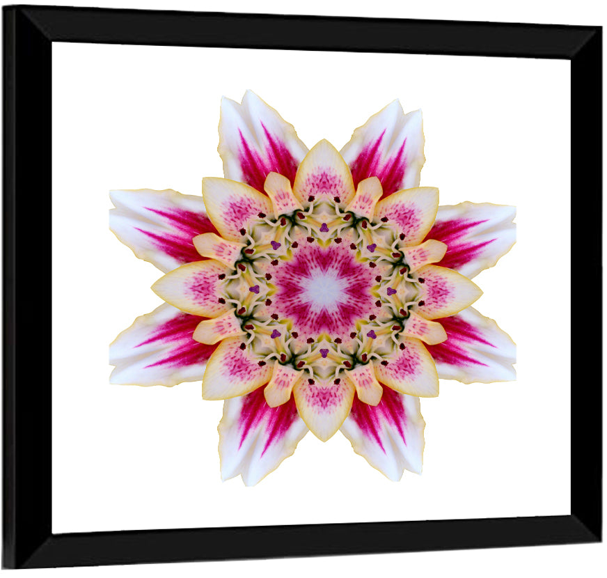 Star Mandala Pattern Wall Art