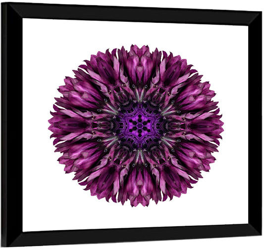 Circular Mandala Pattern Wall Art