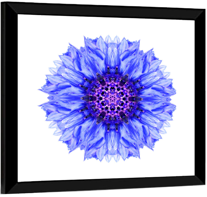 Cornflower Mandala Pattern Wall Art