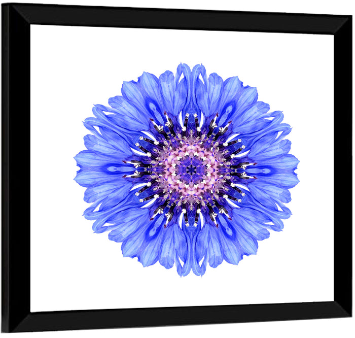 Blue Cornflower Mandala Pattern Wall Art as a framed print