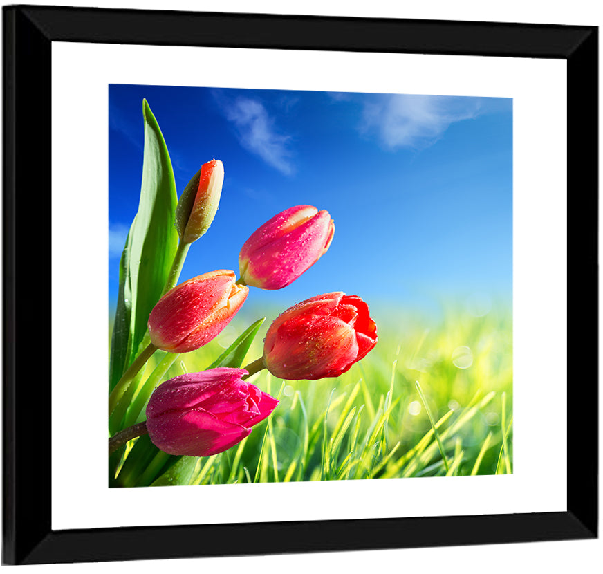 Dewy Red Tulips Under Blue Sky Wall Art