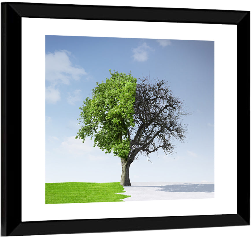 Split Seasons Tree Wall Art
