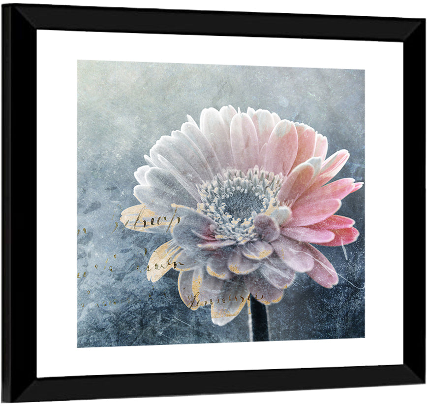 Winter Gerbera with Golden Script Wall Art