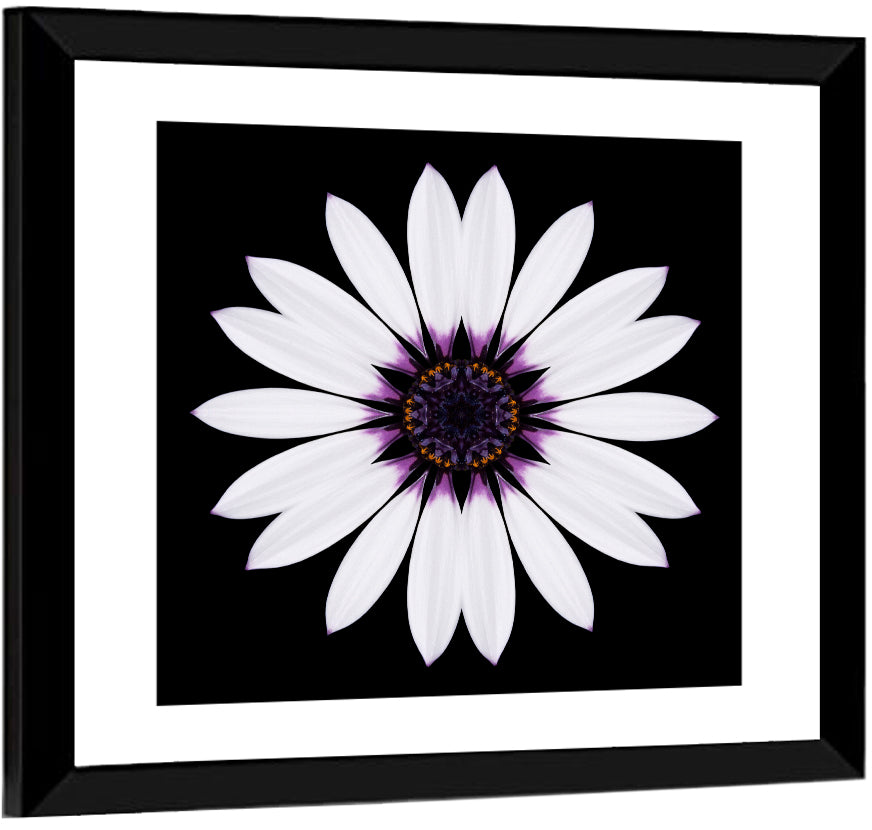 White Daisy Mandala on Black Wall Art