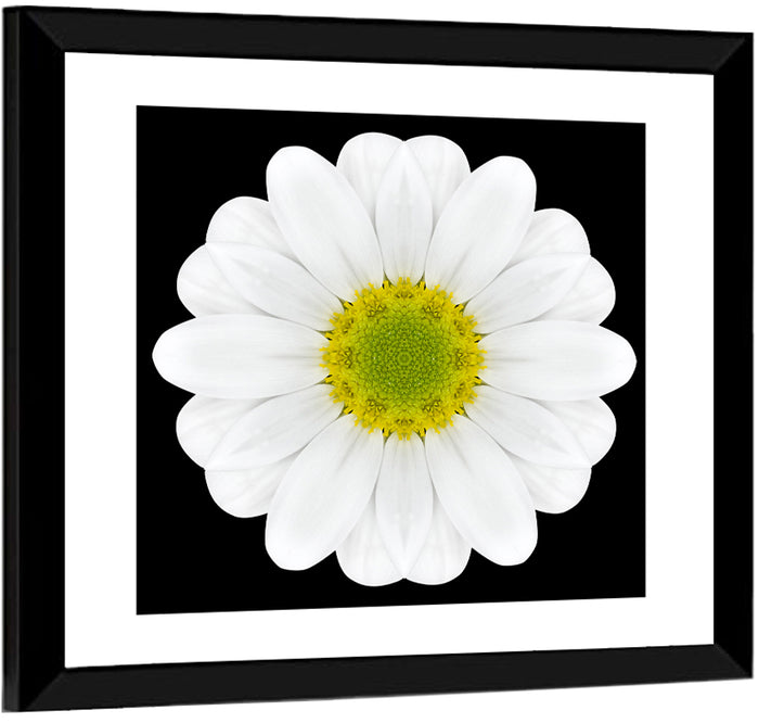 High Contrast Daisy Mandala Pattern Wall Art as a framed print