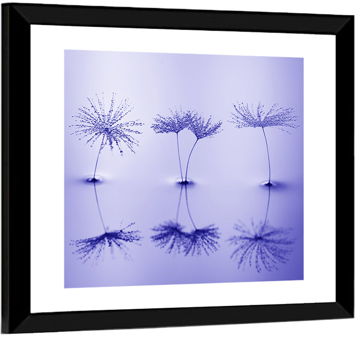 Blue Dandelion Seeds with Reflections Wall Art as a framed print