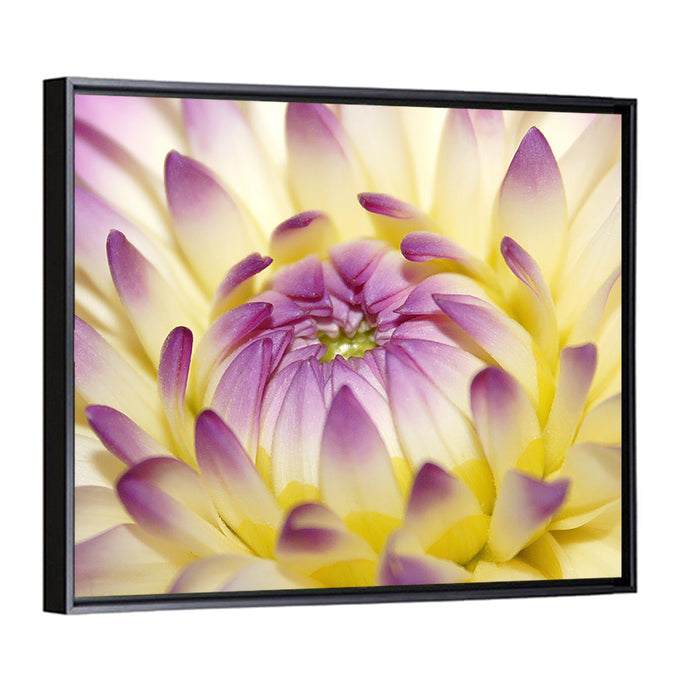 Dahlia Macro Portrait Wall Art as a framed canvas
