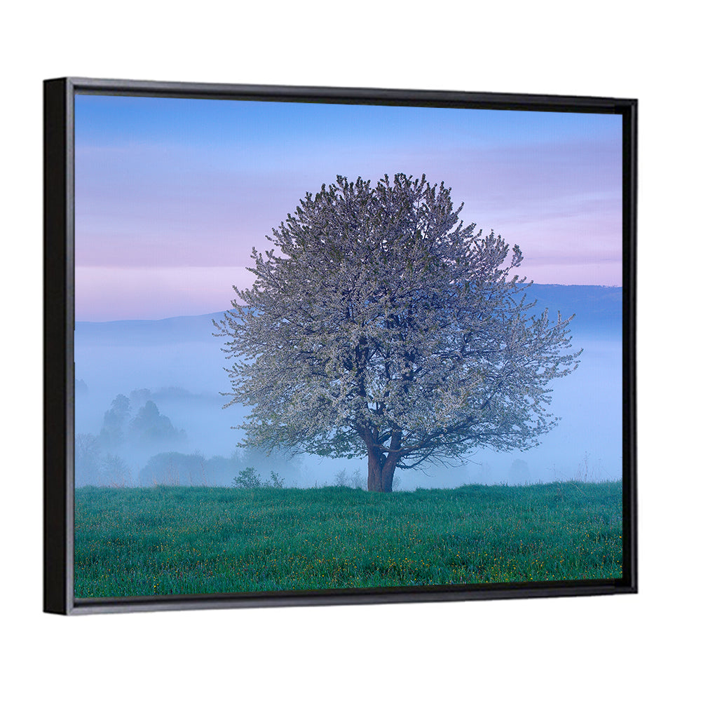Misty Sumava Mountain Tree Wall Art