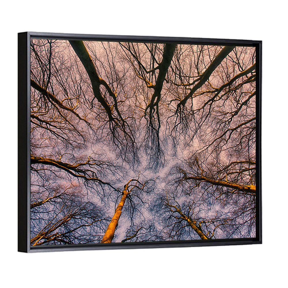 Misty Forest Canopy Wall Art
