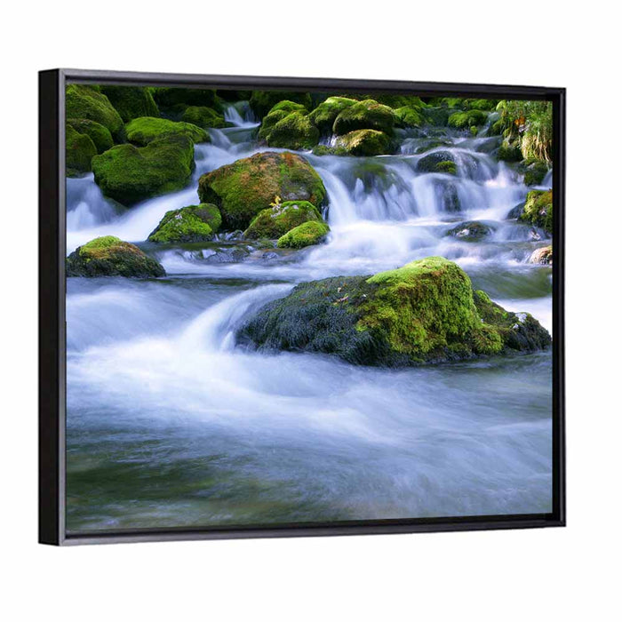 Mossy Forest Stream Wall Art as a framed canvas