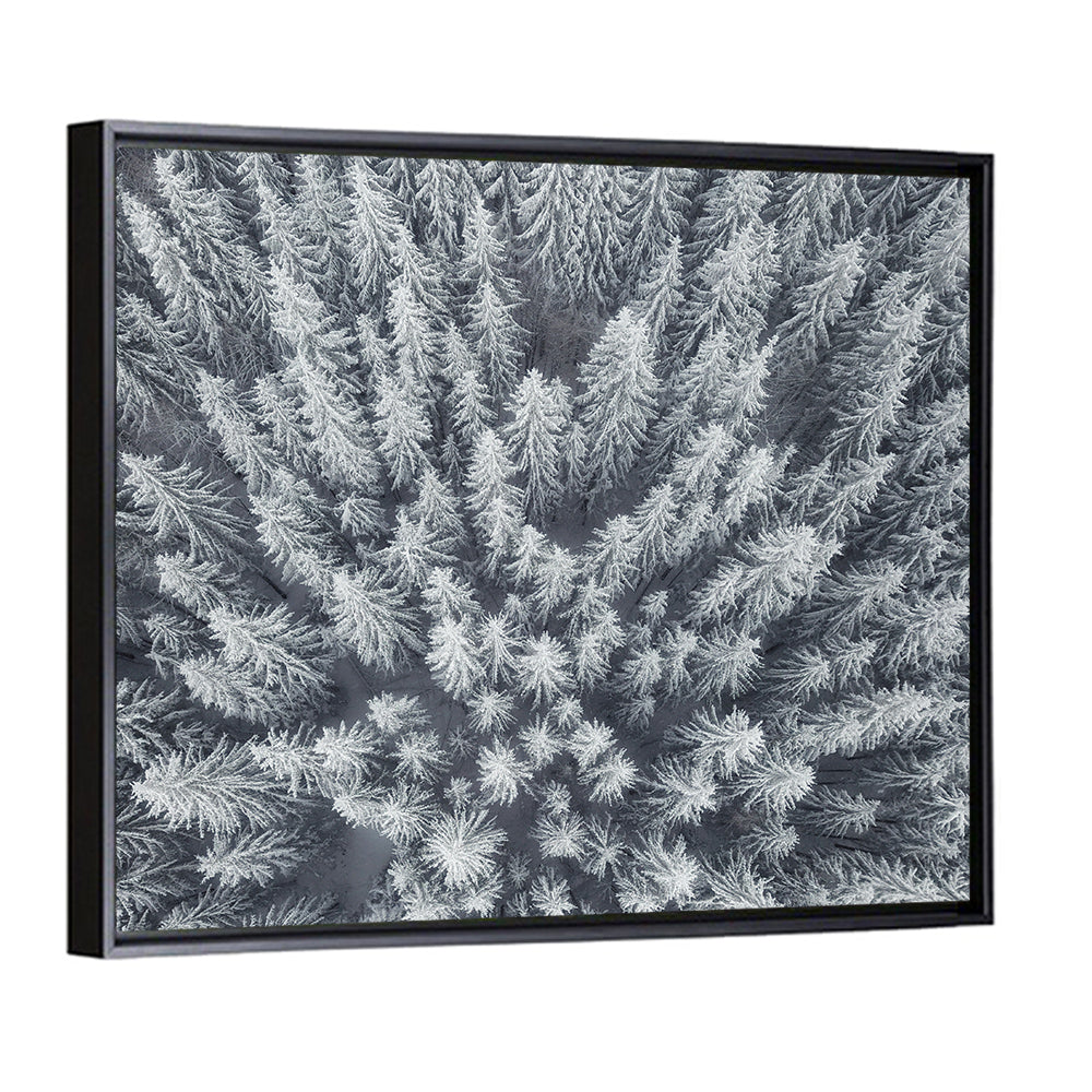 Snow Covered Pine Forest Wall Art