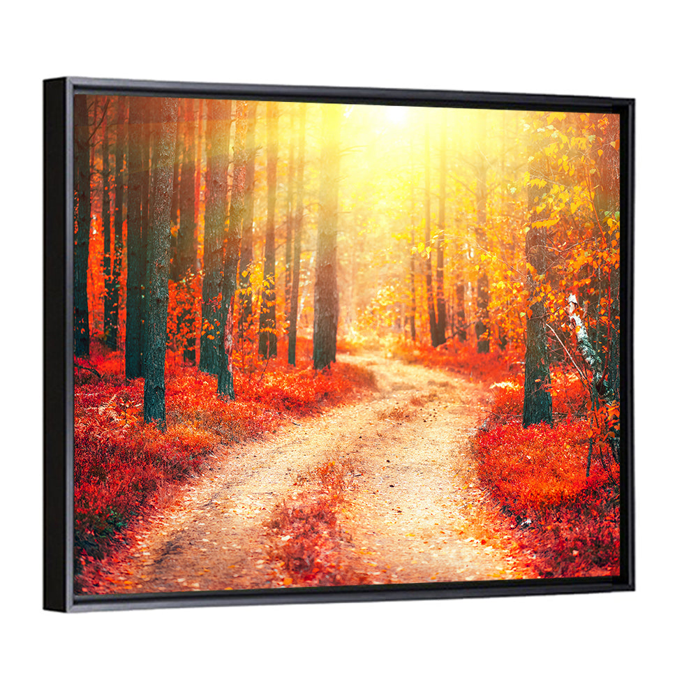 Golden Path Through Autumn Woods Wall Art
