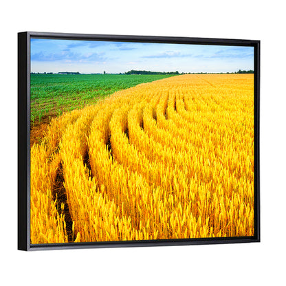 Wheat Field Wall Art