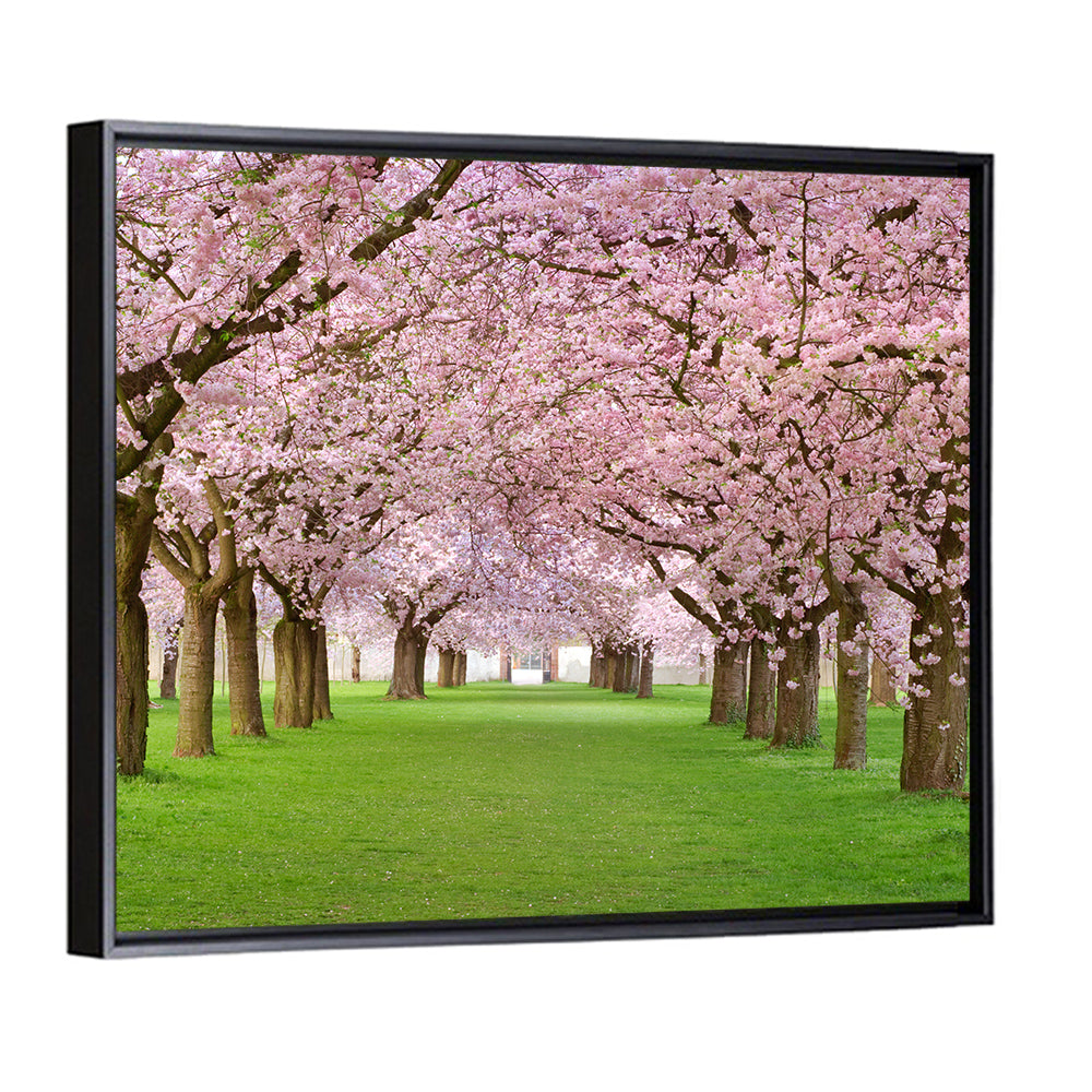 Cherry Blossom Avenue Wall Art