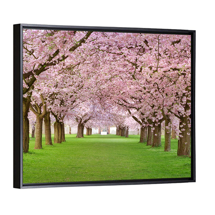 Cherry Blossom Avenue Wall Art as a framed canvas