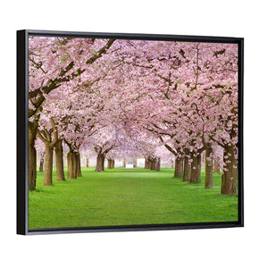 Blossoming Cherry Wall Art