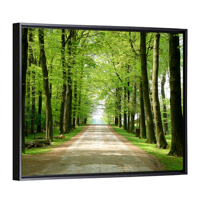 Sunlit Tree-lined Path Wall Art as a framed canvas