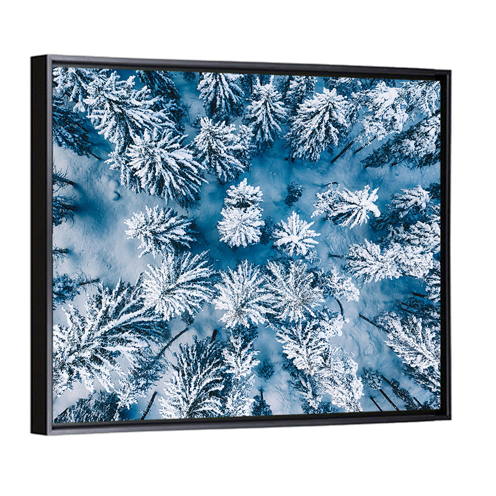 Aerial Snowy Evergreen Canopy Wall Art