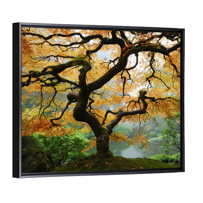 Japanese Autumn Maple Wall Art as a framed canvas