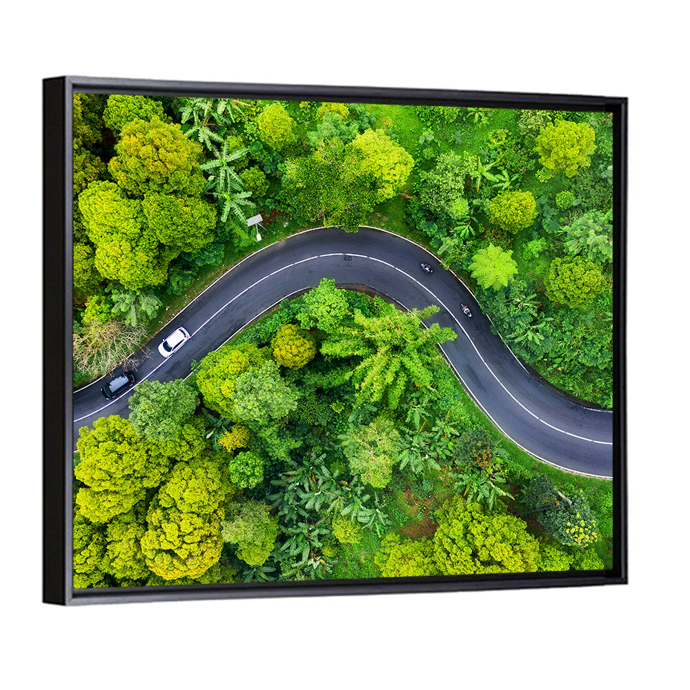 Summer Forest Road Aerial Wall Art