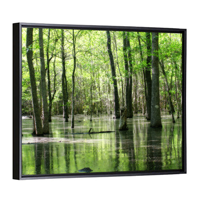 Green Swamp Forest Wall Art