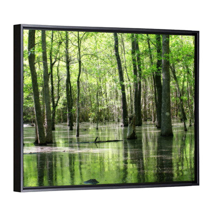 Sunlit Swamp Forest Wall Art as a framed canvas